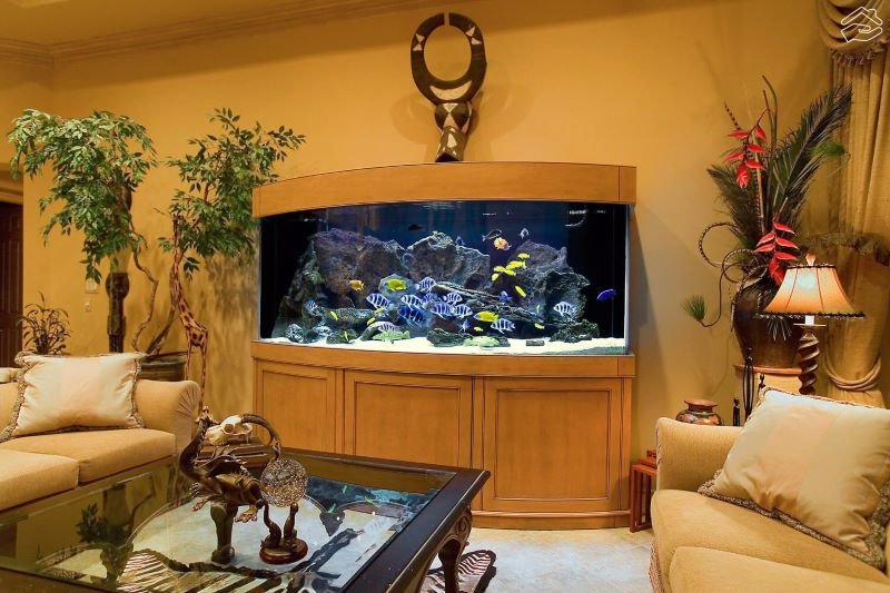  Amenajați un acvariu pentru a oferi calmitate spațiului!