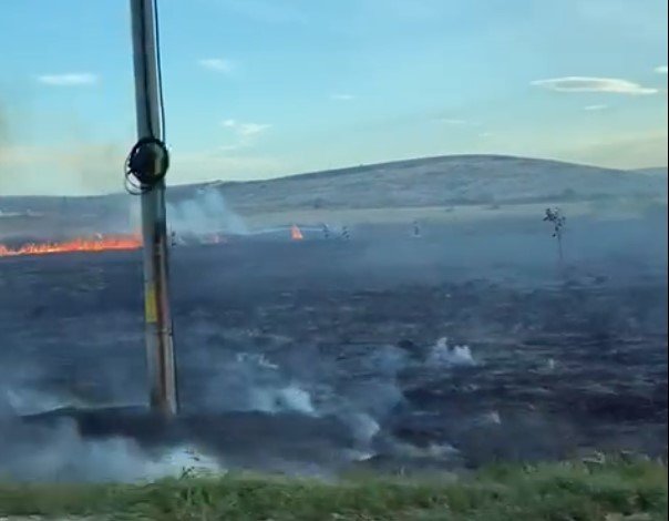  Incendiu de vegetaţie uscată în zona fostei ferme Avicola, la ieşirea din municipiul Iaşi (VIDEO)