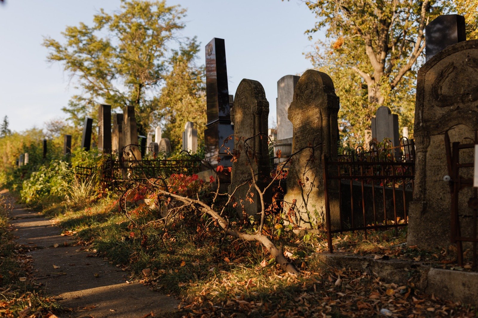  Expoziție FOTO: Cimitirul evreiesc din Iași, în obiectivul fotografului Alexandru Saru