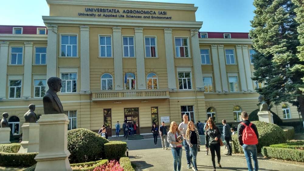  Burse mai multe și cu valori mai mari  pentru studenții USV Iași