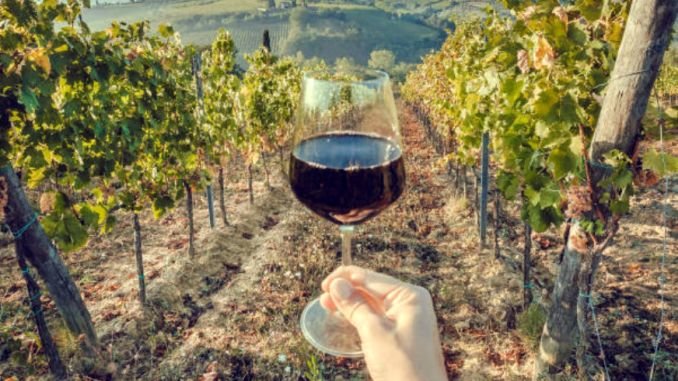  Să curgă vinul! Producţia din România a fost cu 15% mai mare anul acesta faţă de 2022