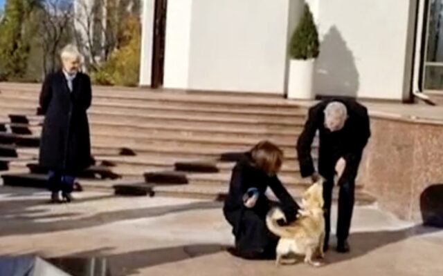  Câinele Maiei Sandu l-a muşcat pe preşedintele Austriei, după declaraţiile acestuia privind România şi Schengen