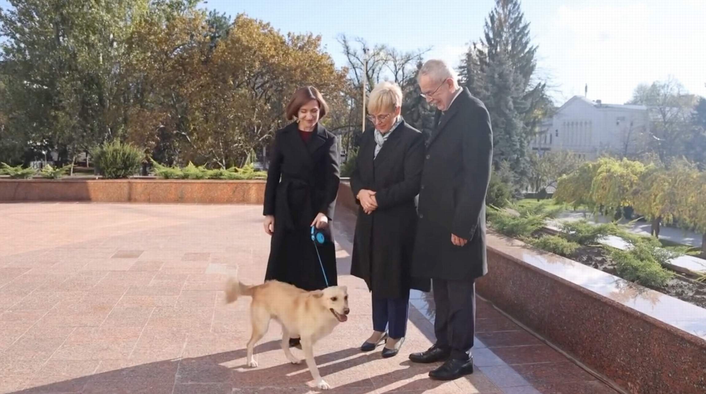  Preşedintele Austriei, muşcat de câinele Maiei Sandu, i-a oferit preşedintei R. Moldova o jucărie pentru Codruţ