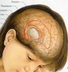  Inexplicabil: S-a triplat numărul copiilor care au tumori cerebrale