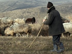  Ciobanul ce şi-a ucis fratele şi care apoi i-a pus o pernă sub cap, 10 ani de închisoare