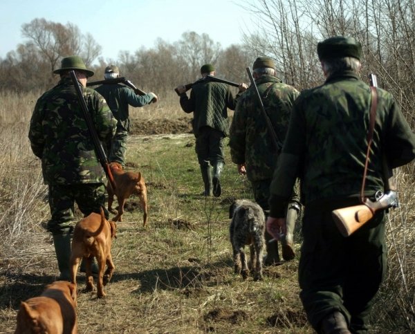  Direcţia Silvică Iaşi face zeci de mii de euro anual din vânătorile organizate pentru străini