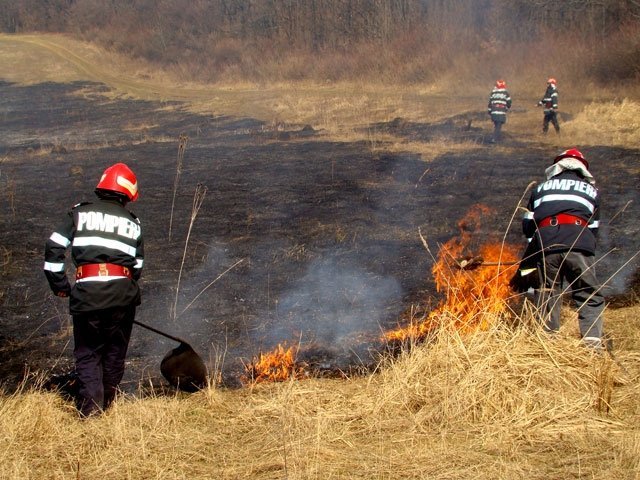  Incendiu puternic de vegetaţie la Miroslava, înteţit de vânt