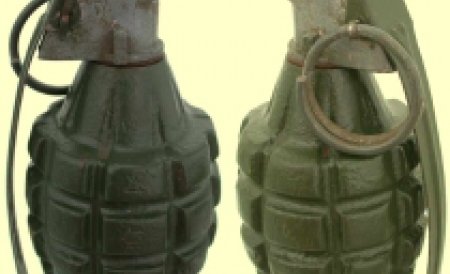  24 de grenade au fost descoperite pe malul râului Siret