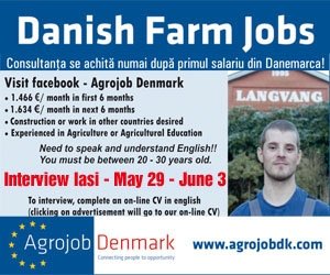  Oferim locuri de muncă în fermele din Danemarca !