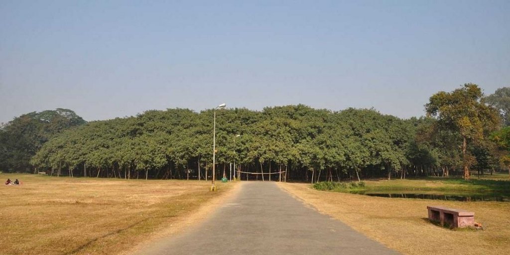  92576_70521_stiri_great-banyan-tree-kolkata-india