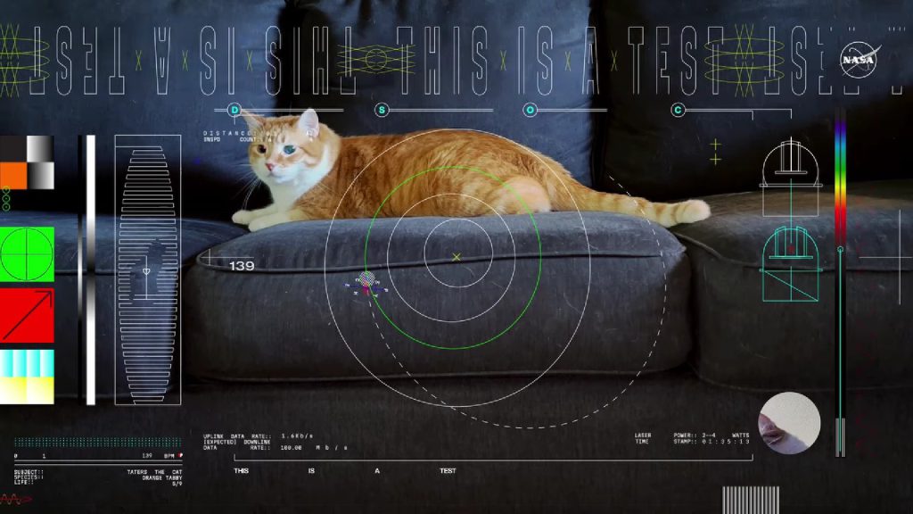  VIDEO NASA a transmis un videoclip cu o pisică de la 30 de milioane de kilometri distanță de Pământ, cu ajutorul sistemelor de comunicare prin laser