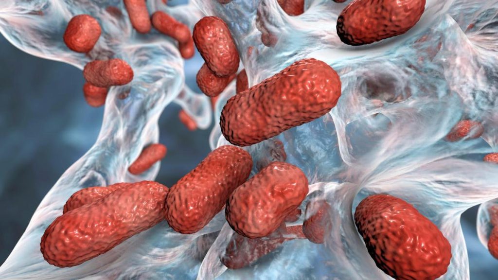  Oamenii de ştiinţă au descoperit un nou antibiotic care poate distruge bacteriile rezistente la medicamente