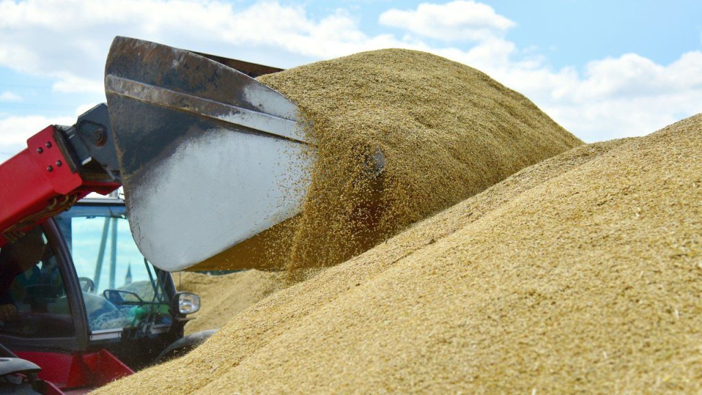  În decembrie, Ucraina a exportat prin propriul său coridor din Marea Neagră mai multe cereale decât o făcuse în cadrul precedentului acord mediat de ONU