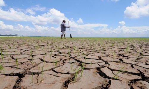  Agricultorii afectați de secetă vor putea cere suspendarea ratelor la bănci până la finalul acestui an. Guvernul a adoptat Ordonanța de Urgență
