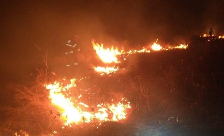  Incendiu masiv de vegetaţie în judeţul Timiş. Sunt afectate circa 100 de hectare