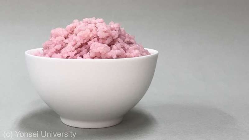  Cercetătorii sud-coreeni au dezvoltat un aliment care combină orez şi celule de carne de vită
