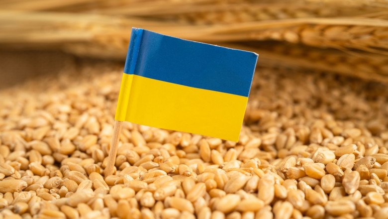  O minciună despre cerealele din Ucraina demontată: din 3 milioane de tone care au intrat în România, doar 4 probe au avut probleme