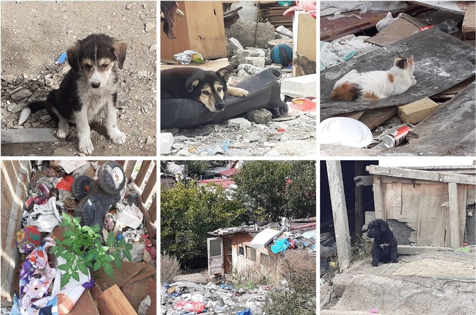  Groapa de gunoi a oraşului a Clujului: Pata Rât