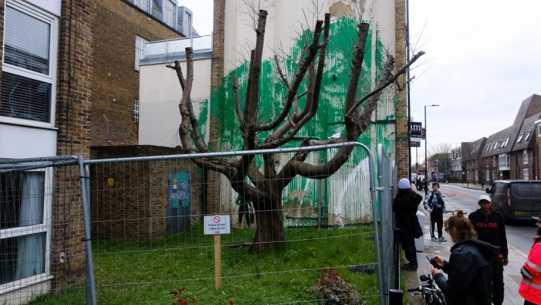  Muralul cu un copac pictat de Banksy în Londra, vandalizat la două zile de când a apărut