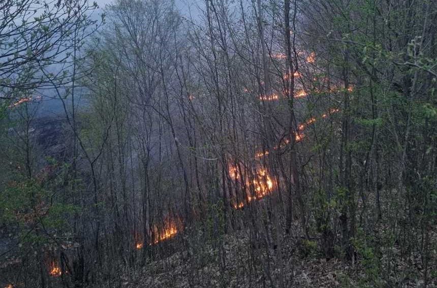  Incendiu de vegetaţie uscată care s-a extins pe 50 de hectare în judeţul Prahova