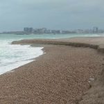 Plajele lărgite de pe litoralul românesc favorizează înecurile și infecțiile grave, arată prof. dr. Alfred Vespremeanu-Stroe (Universitatea București)