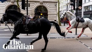Caii regali din Londra au ”înebunit”: patru călăreți răniți, mașini avariate, autobuze lovite. Două animale în stare gravă