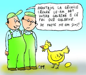 Avantajul găinilor hrănite cu vopsea galbenă