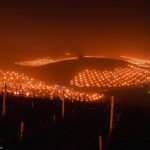 FOTO Mare de lumini în Tirolul de Sud. Viticultorii au aprins mii de focuri pentru ca podgoriile să nu înghețe