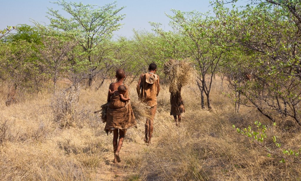  Ultimii vânători-culegători din Africa aveau o alimentaţie bazată preponderent pe plante