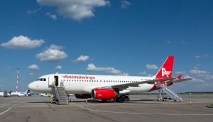 Animawings, zboruri între Iaşi şi Bucureşti, din 15 septembrie, la preţuri care pornesc de la 35 de euro