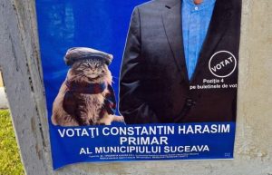 Sarea și piperul campaniei electorale: Un candidat la Primăria Suceava și-a pus pisica în afiș. ”Eu și Oscar vom câștiga”