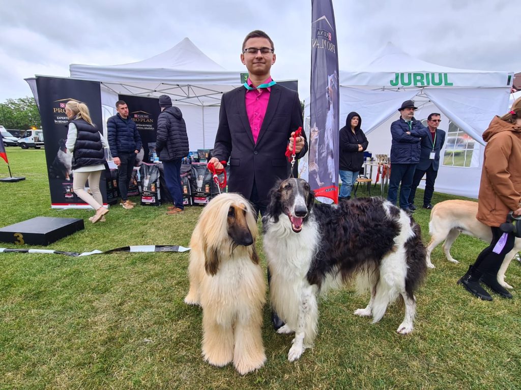 Concursuri interesante la Animal Fest (Copou) pentru iubitorii de câini din Iași