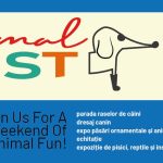USV Iași organizează ANIMAL FEST, la sfârșitul acestei săptămâni,  în premieră va avea loc un curs de prim ajutor „Pet first aid!” (P)